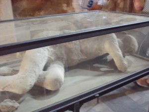 Plaster Cast Pompeii Italy - James Duvalier Blog